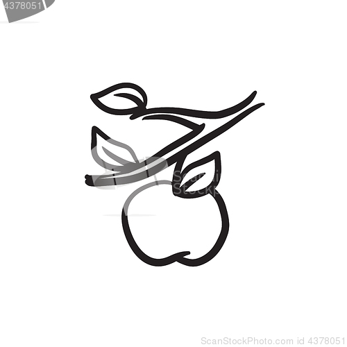 Image of Apple harvest sketch icon.