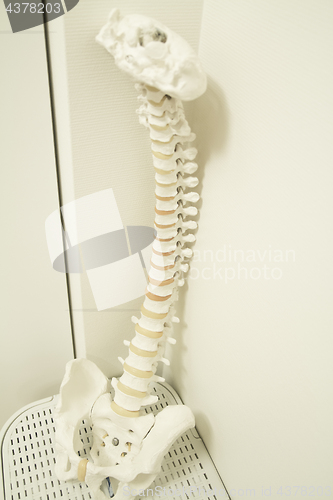 Image of Physiotherapy