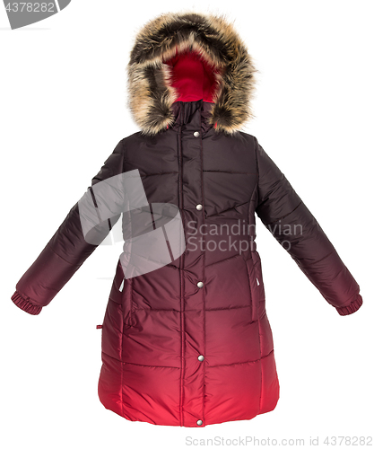 Image of Women winter jacket