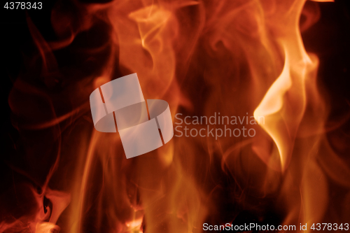 Image of Fire flames