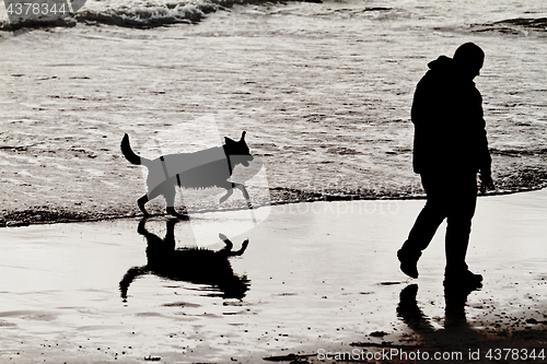 Image of Playing dog on the beach