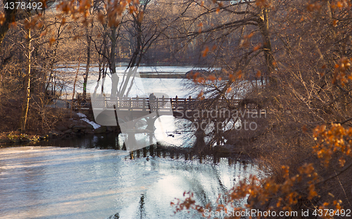 Image of Beautiful Fall colors at Oak Bridge ,Bank Rock bay, Central Park, New York City.