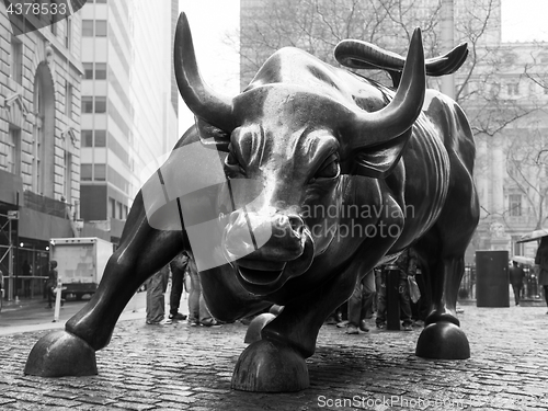 Image of Charging Bull in Lower Manhattan, NY.