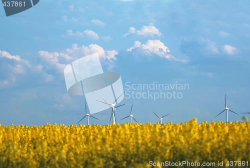 Image of windmills