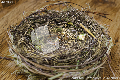 Image of Gold wedding rings in a real bird&#39;s nest