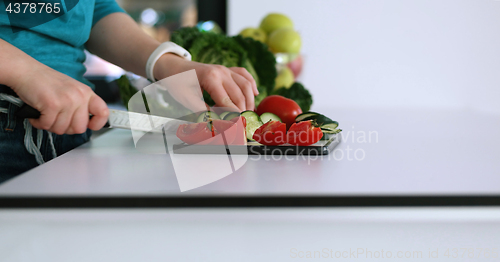 Image of Young Couple In Modern Kitchen  Preparing Food