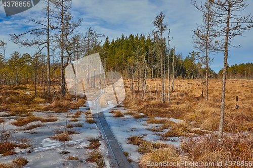 Image of Swamps in Finland