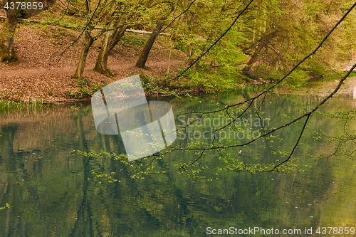 Image of Small lake with trees