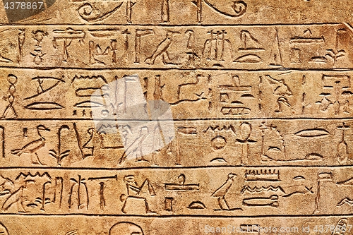 Image of Ancient Hieroglyphic Script