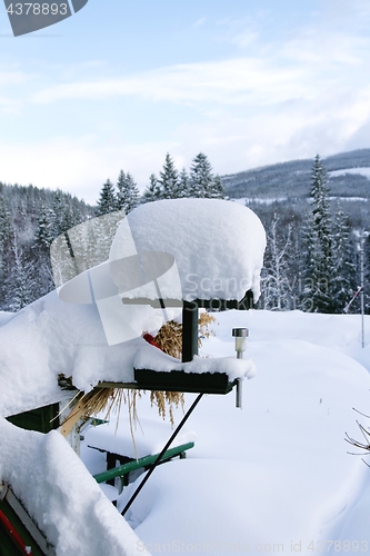 Image of Bird feeder with snow