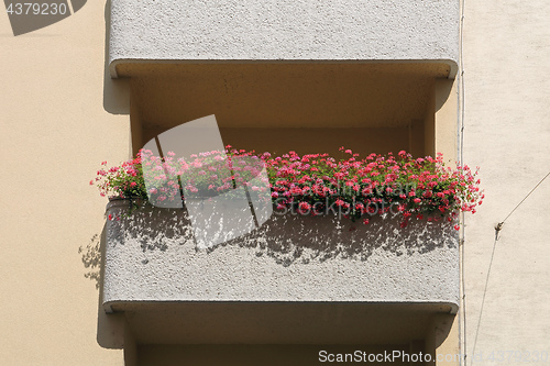 Image of Floral Balcony