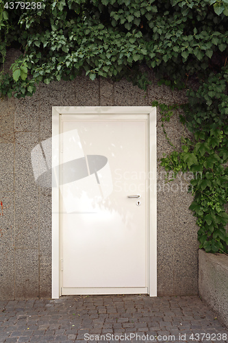 Image of Door