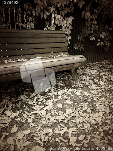 Image of Vintage style sepia toned image of bench in autumn park