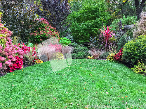 Image of Colorful plants surrounding a green lawn