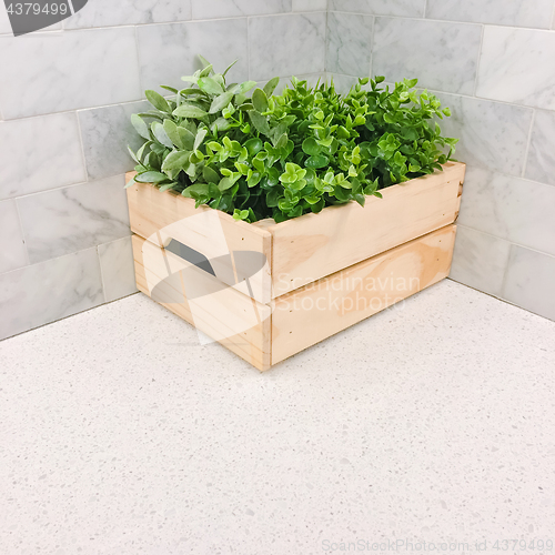 Image of Green plant in a wooden box in the kitchen corner