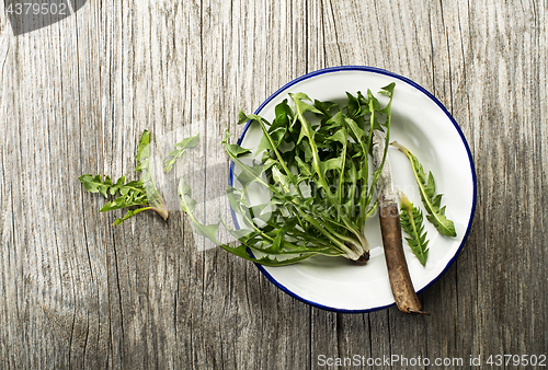 Image of Dandelion salad