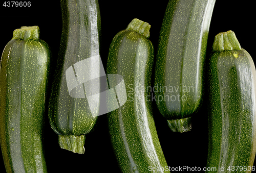 Image of Zucchini (zucchetti, courgettes) on a black background