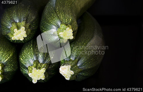 Image of Detail of zucchini (zucchetti, courgettes)