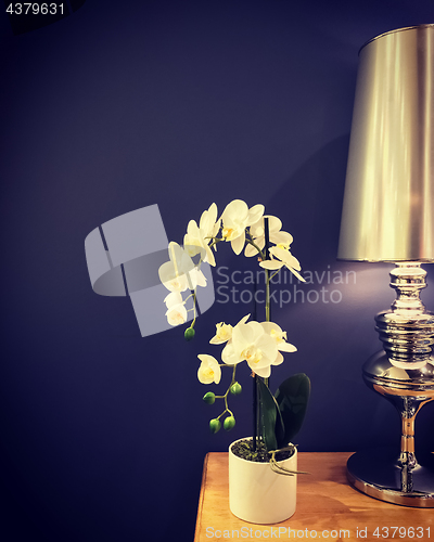 Image of Beautiful white orchid and classic metal lamp