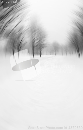 Image of Winter blizzard motion blur