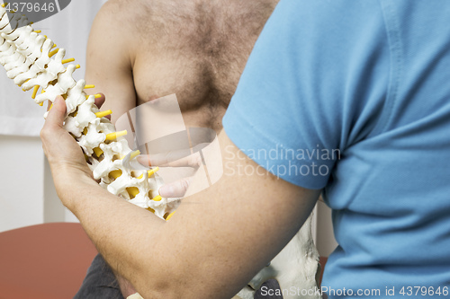 Image of Physiotherapy showing spine