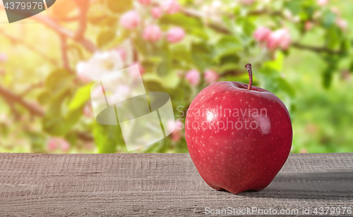 Image of Red apple on a wooden table