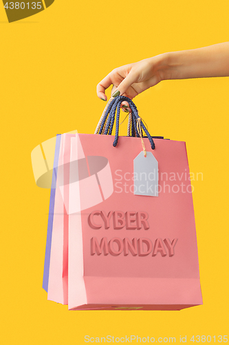 Image of Female hand holding bright shopping bags