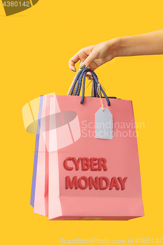 Image of Female hand holding bright shopping bags