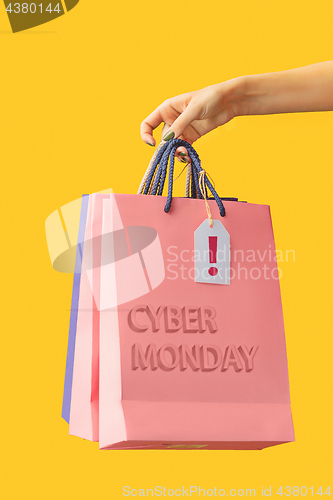 Image of Female hand holding bright shopping bags