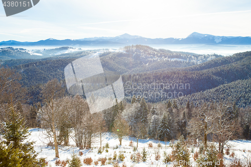 Image of View of beautiful snowy mountains, forests