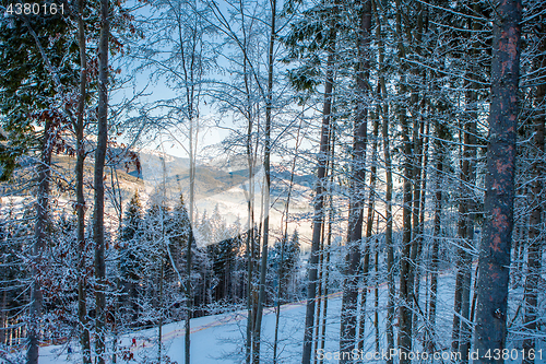 Image of View of beautiful snowy mountains, forests