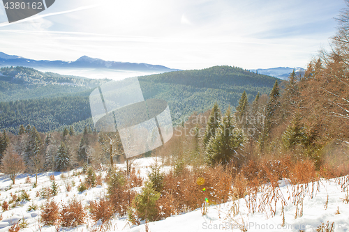 Image of View of beautiful snowy mountains, forests