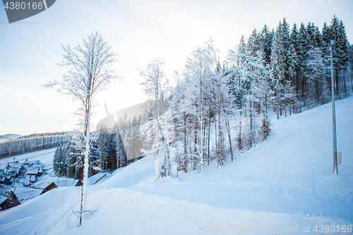 Image of View of beautiful snowy mountains, forests