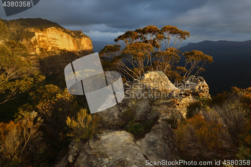 Image of Blue Mountains Australia