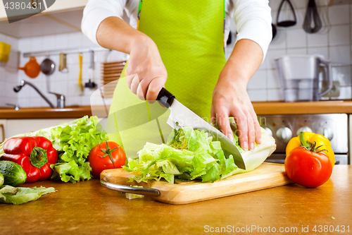 Image of Woman\'s hands cutting vegetables