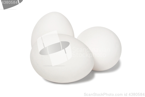 Image of Eggs on White