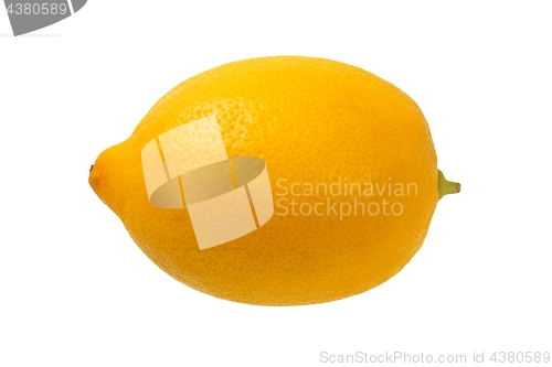 Image of Lemon on white
