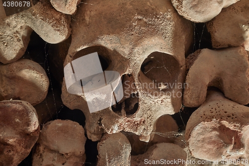 Image of Skulls and bones in a wall