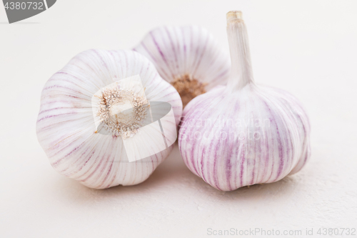 Image of garlic bulbs on white background