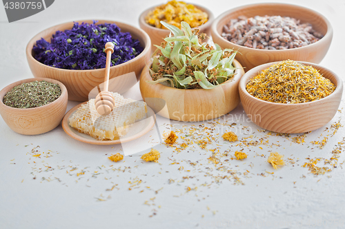 Image of herbalism