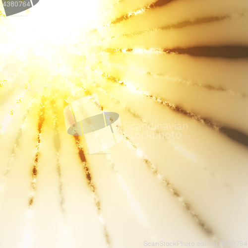 Image of abstract golden sun burst