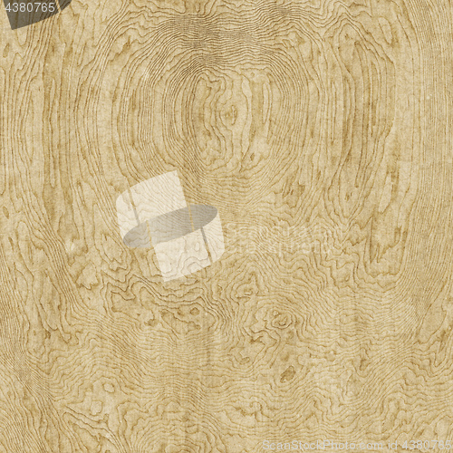 Image of gnarled wooden background texture