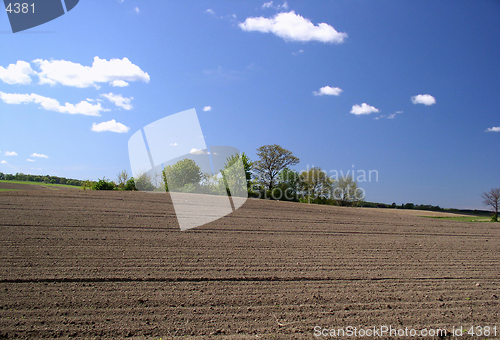 Image of field - spring