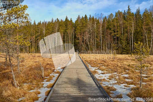 Image of Swamps in Finland