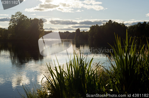 Image of Landscape with a river, trees and plants. Sweden