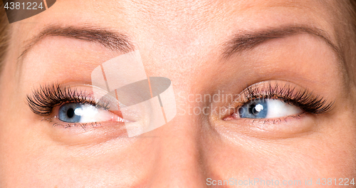 Image of Face woman with eyes and eyelashes