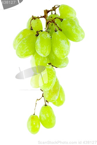 Image of Bunch of Grapes