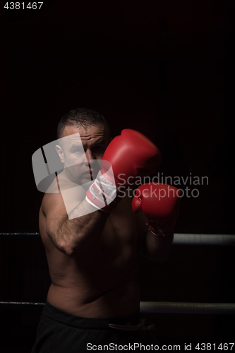 Image of professional kickboxer in the training ring