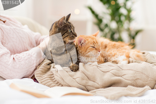 Image of close up of owner with red and tabby cat in bed