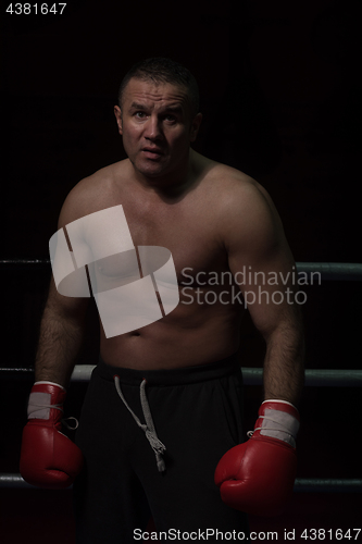 Image of portrait of muscular professional kickboxer